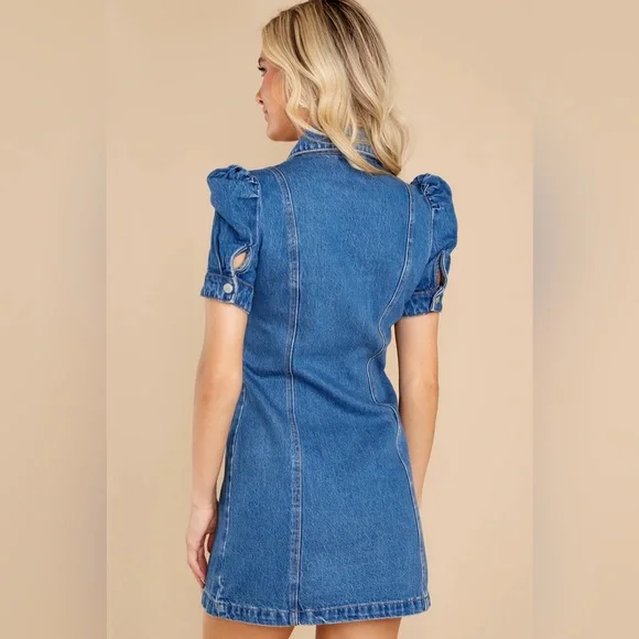 NWT Blank NYC Walk in the Park Denim Dress - Picture 2 of 10